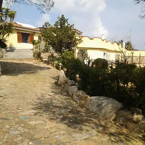  Bed & Breakfast La Fonte Dell'ulivo 3